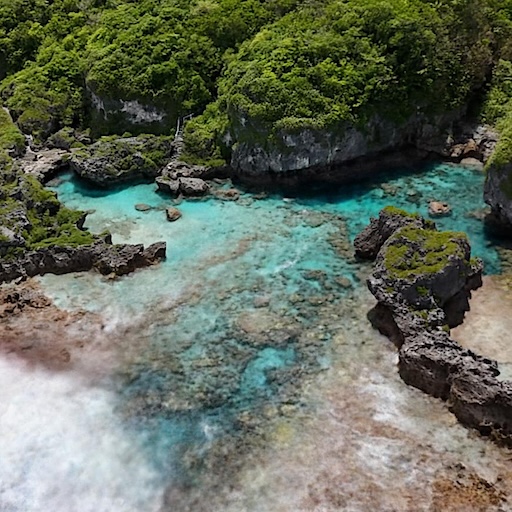 Limu Pools